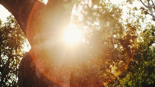 Photo by Michael T courtesy of Unsplash